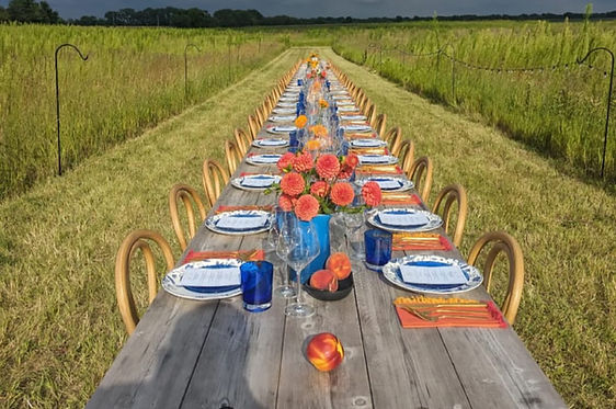 Locavore Farm photo 3