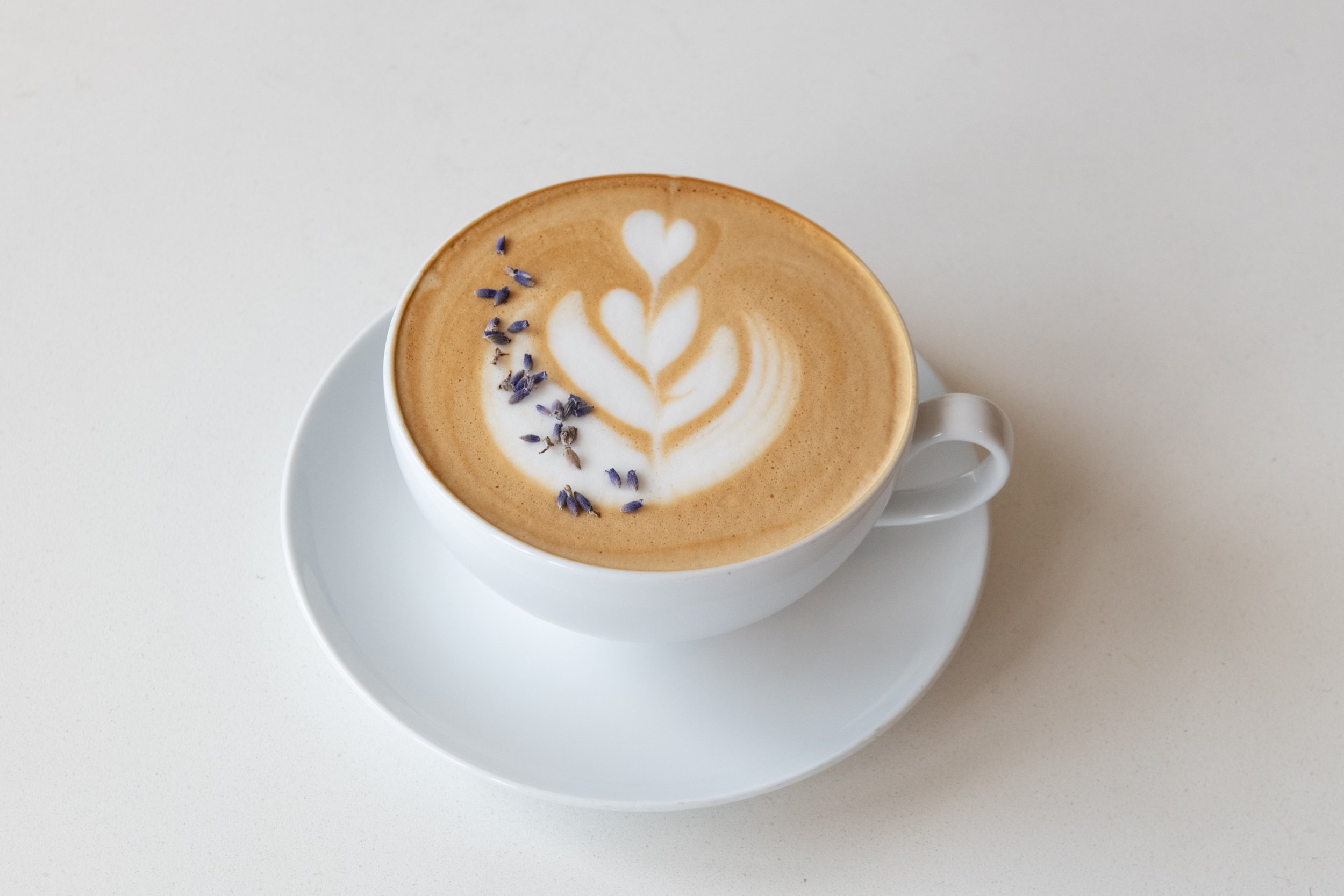 Stefari Coffee House photo 1